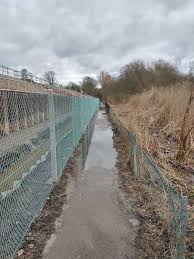 Image result for Fetcham Cannons