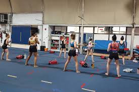 Image result for Swallows Of Helston Gym Club
