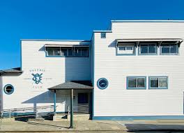 Image result for Dolphins Sheltered & Disabled Swim Club