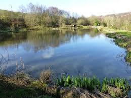 Image result for Diggle Angling Club