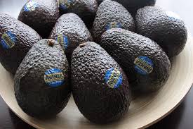 「アボカド大臣」の画像検索結果