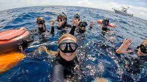 Image result for Blue Water Freediving School