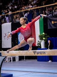 Image result for Heathrow Gymnastics Club