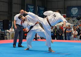 Image result for Kyokushin Karate