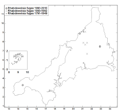 Attēlu rezultāti vaicājumam “Rhabdoweisia fugax”