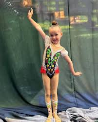 Image result for Custom Gymnastics Club