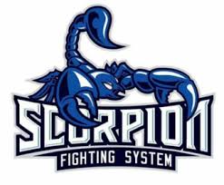 Image result for Scorpion Martial Arts Academy