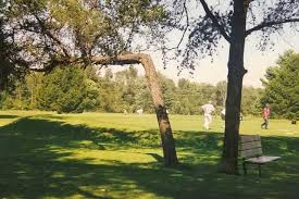Image result for Whitehall Golf Club