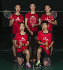 Image result for Lysander Badminton Club