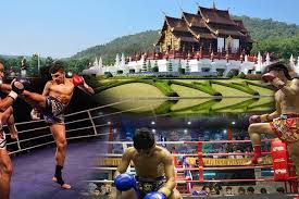 Image result for Allstars Kickboxing