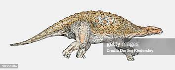 Image result for MINMI