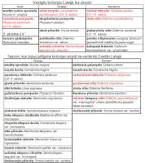 Attēlu rezultāti vaicājumam “Diderma subviridifuscum var. macrospora*”