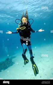 Image result for Blue Water Diving