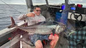 Image result for Thunnus maccoyii
