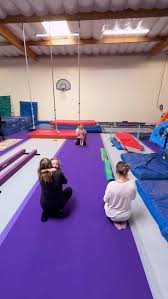 Image result for Monarchs Sports Acrobatics Club