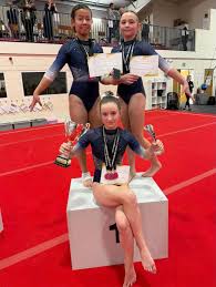 Image result for Huntingdon Olympic Gym Club