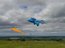 Image result for White Horse Kite Fliers Club