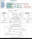 Expanding the Scope of Crystal Form Evaluation in Pharmaceu-tical ...
