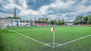 Image result for Dorking Wanderers F C