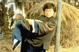 Image result for DRUNKEN MASTER