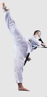 Image result for Association For Tae Kwon Do