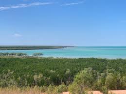 Image result for Roebuck Bowling Club