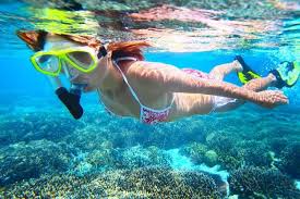 Image result for East Snorkellers