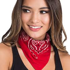 Scarf or bandana