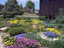 Boulder County Extension - Horticulture