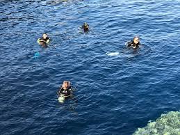 Image result for Meridian Sub-Aqua London