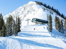 Image result for Brighton University Ski & Snowboard Club