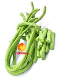Image result for Buschbohnen