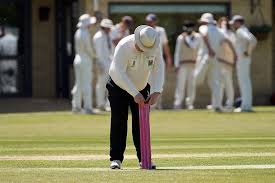 Image result for Chipping Sodbury Cricket Club