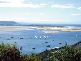 Image result for Dovey Yacht Club