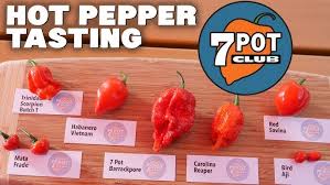 Afbeeldingsresultaat voor 7 pot hot pepper