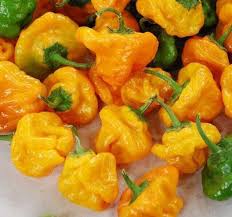 Afbeeldingsresultaat voor yellow mushroom hot pepper