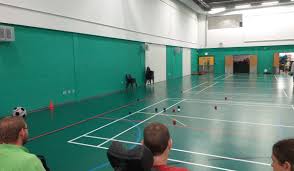 Image result for Well Being and Leisure Team (Boccia)