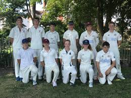 Image result for Buxted Park Cricket Club