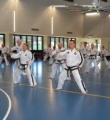Image result for Utf Jaguar Tkd