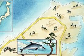 Image result for japan dolphin slaughter