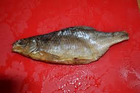 Image result for Rutilus caspicus