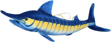 Image result for Makaira mazara