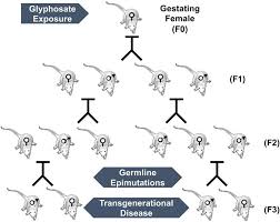 Image result for %EF%EE%F0%F2%F0%E5%F2%FB %EA%E0%F0%F2%E8%ED%FB %EA%EB%E0%F1%F1%E8%EA%E8