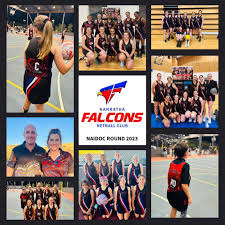 Image result for Falcons Netball Club