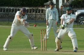 Image result for Shalford Cricket Club