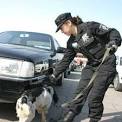 Air Force Military Police Officer Careers | USMilitary.