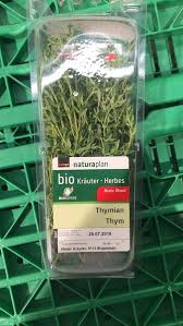 Image result for Thymian