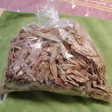 Attēlu rezultāti vaicājumam “Charales”