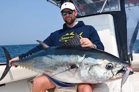 Image result for giant tuna
