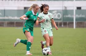 Image result for Sheepmount Athletics Stadium